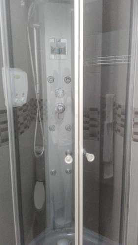 a shower with a glass door in a bathroom at VuT Dalia 4 in Ávila