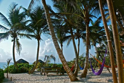 Gallery image of Playa Selva in Tulum