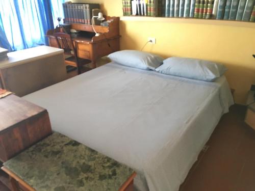 ナポリにあるLemon Tree Terraceのベッドルーム1室(大型ベッド1台付)、デスクが備わる客室です。