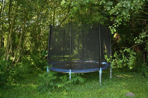 a trampoline in the grass in a garden at Gästezimmer Sommer Locktow in Locktow