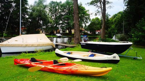 Taman di luar Urlaub mit Alpakas