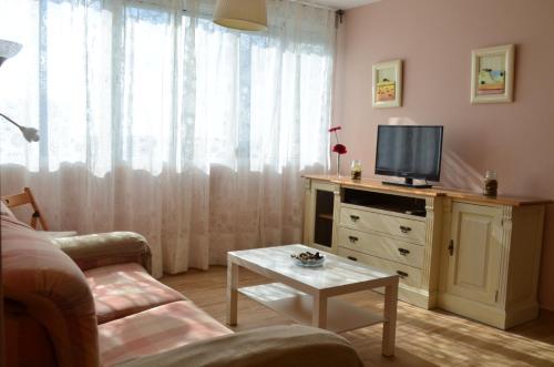 TV a/nebo společenská místnost v ubytování Apartamento Plaza Castañuelas