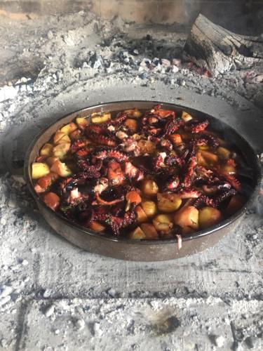 Eine mit Essen gefüllte Pfanne stand auf dem Boden. in der Unterkunft Apartment Laguna in Vinišće
