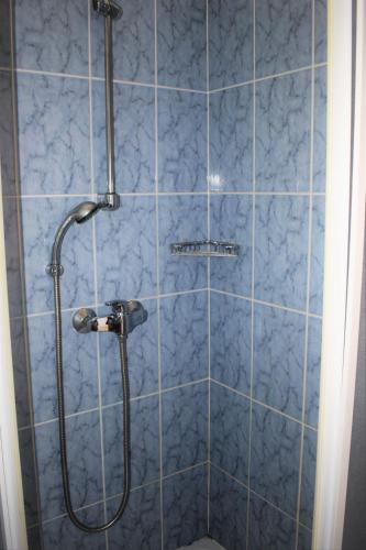 a blue tiled shower with a shower head at Apartment Rina in Vantačići