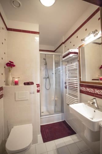 a bathroom with a shower and a toilet and a sink at Apartamenty Villa Artis in Świnoujście