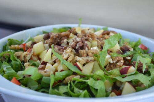 a salad with apples and nuts in a white bowl at Dimitropoulos Apartments in Eleonas