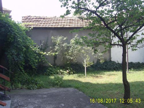 En have udenfor Studio Pleven Center