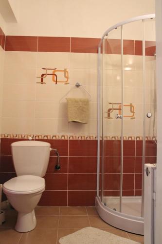 a bathroom with a toilet and a shower at Hotel Rambousek in Nové Město nad Metují