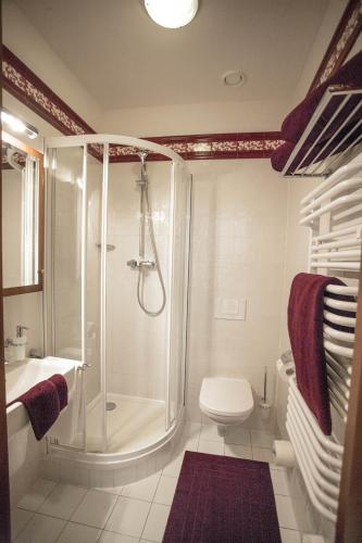 a bathroom with a shower and a toilet and a sink at Apartamenty Villa Artis in Świnoujście