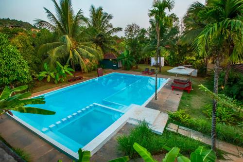 Aquatica Resorts & Spa – Photos 4