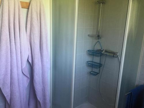 La salle de bains est pourvue d'une douche avec un rideau de douche violet. dans l'établissement Les Haies Vives, à Choisy