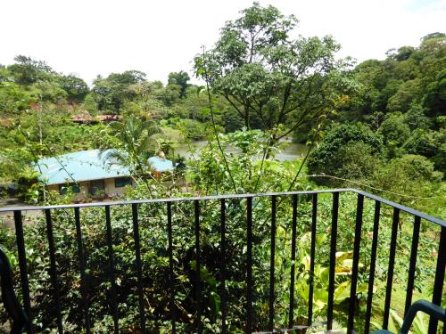 a view of a river from a balcony at Lucky Bug Bed And Breakfast in Nuevo Arenal