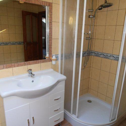 a bathroom with a sink and a shower at Pálya Vendégház in Pusztaszer