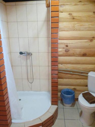 a bathroom with a shower with a toilet and a tub at Pulemchanka in Pulemets