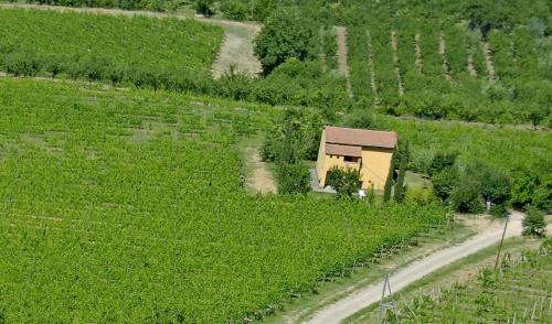 a small house on a road in a field at Agriturismo Nobile in Montepulciano