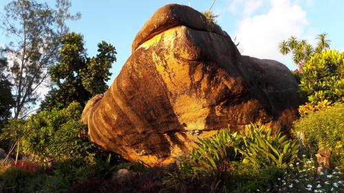 a large rock in the middle of a garden at Jardin Marron in Baie Sainte Anne