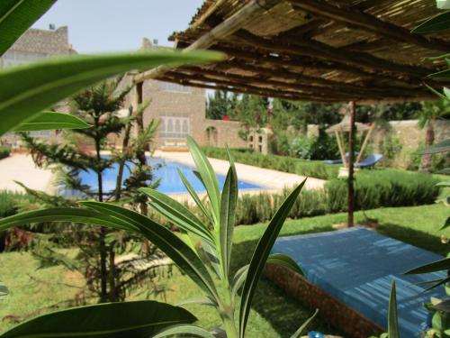 a view of a swimming pool from a garden at La Maison des Ailleurs in Essaouira