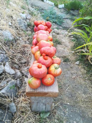 Fotografie z fotogalerie ubytování Salvatierra Guest House v destinaci Ronda