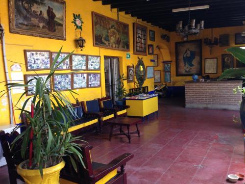 a yellow room with chairs and plants in it at Pension California in La Paz