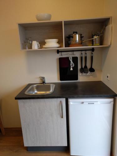 Cuisine ou kitchenette dans l'établissement Hjartarstaðir Guesthouse