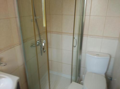 a bathroom with a shower and a toilet and a sink at Pomos Harbourbiew Villa in Pomos