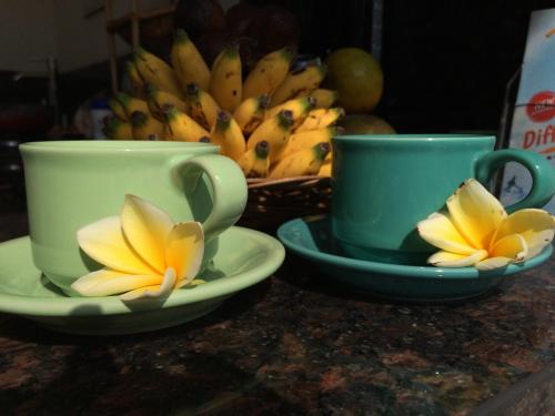 Twee kopjes en schoteltjes met bananen op het aanrecht. bij Canggu - Pererenan Guesthouse " aBaliHouse " in Canggu