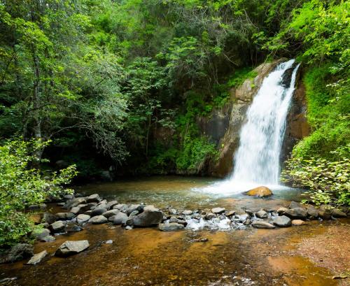 a waterfall in the middle of a river at Laguna Lodge in Graskop