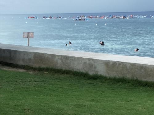 a group of people swimming in the water at Anton's Beach Resort in Oslob