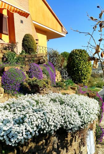a garden of purple and white flowers in front of a house at La Mammola Bed&Breakfast in Fabriano