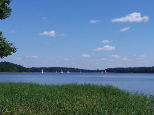 a large lake with sailboats in the water at Ostoja Stacze in Stacze