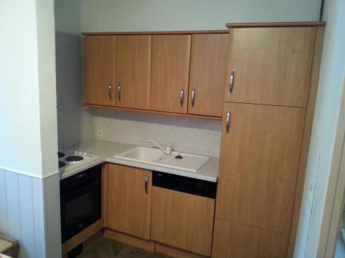 Kuchyň nebo kuchyňský kout v ubytování Appartements Le Clos des Gentianes