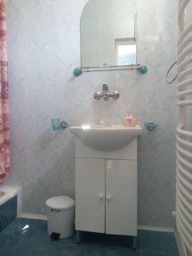 a bathroom with a sink and a mirror at Pensiunea Robi&Norbi Sovata in Sovata