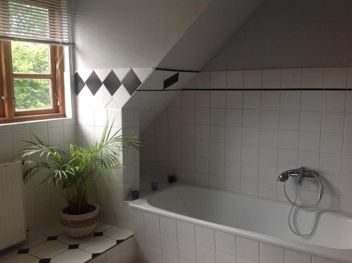 a bathroom with a tub and a potted plant at FeWo Fleckeby an der Schlei in Fleckeby