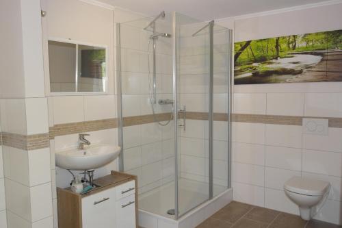 een badkamer met een douche, een wastafel en een toilet bij Ferienwohnung Waterkant in Kappeler Niederstrich