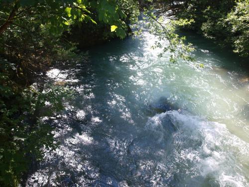 a view of a river from above with trees at Haus Höll Herta in Hallstatt