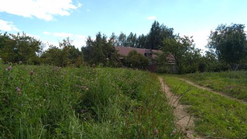 Gallery image of Chata Dziadka Ignacego in Augustów