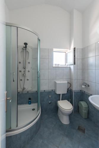 a bathroom with a shower and a toilet and a sink at Apartments Mazuran in Hvar