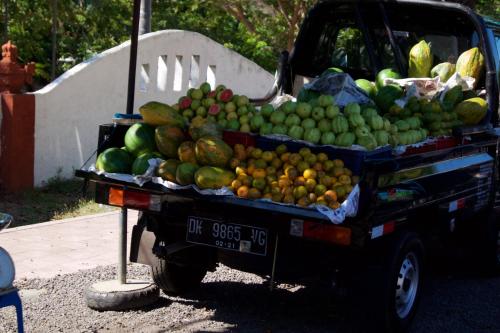 Billede fra billedgalleriet på TEGAL SARI, Pemuteran- North Bali i Pemuteran