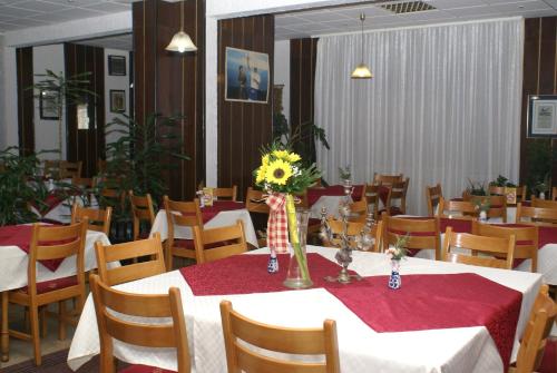 Restaurace v ubytování B&B Izvor