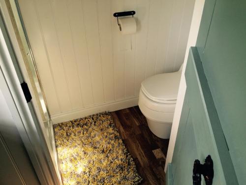 a small bathroom with a toilet and a rug at Mid Wales Luxury Huts in Darowen