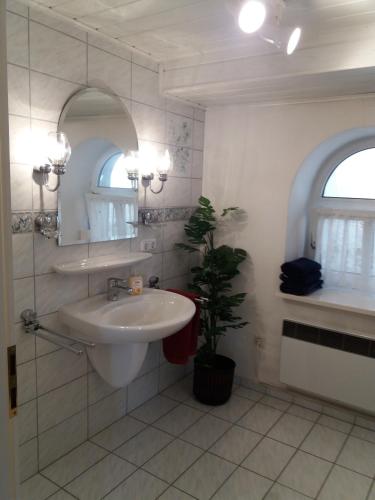 a bathroom with a sink and a mirror and a plant at Haus Forstamt in Stadtsteinach