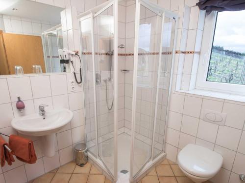 ein Bad mit einer Dusche, einem WC und einem Waschbecken in der Unterkunft Gästehaus FALKLAY in Burg (an der Mosel)