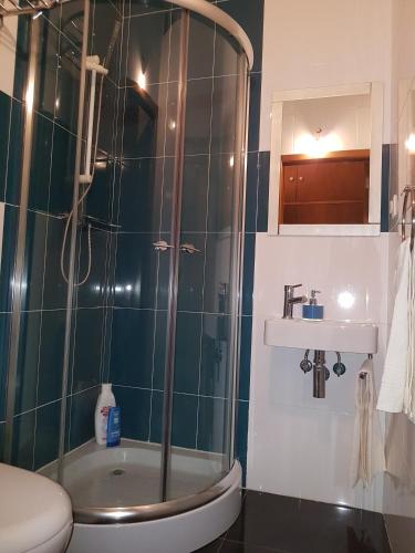 a bathroom with a shower and a toilet and a sink at Turismo Rural Pão e Água in Mértola