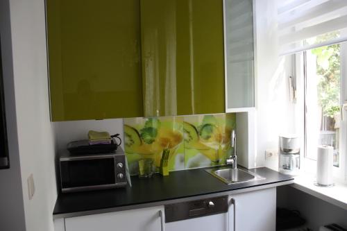 a kitchen with green walls and a sink and a microwave at govienna - City Center Apartments in Vienna