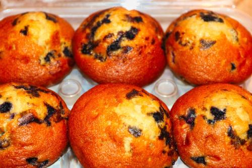 un gruppo di muffin ai mirtilli in un contenitore di plastica di Auberge Motel 4 Saisons a Blanc-Sablon