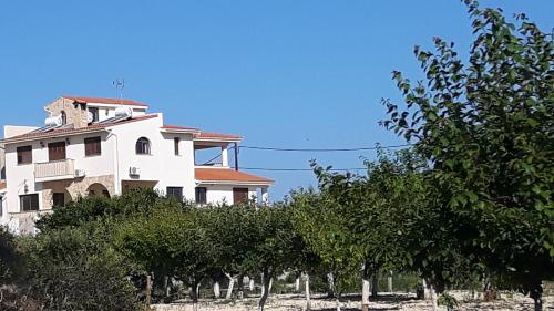 a white house with trees in front of it at Agrepavli Lapithia in Kallepia