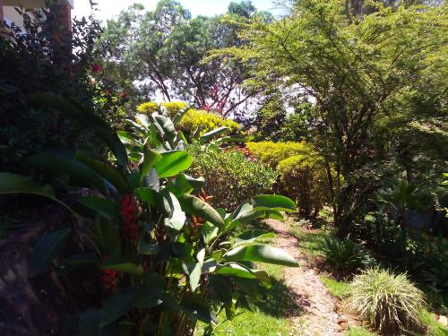 a path through a garden with plants and trees at Retreat Guesthouse Kitende in Entebbe