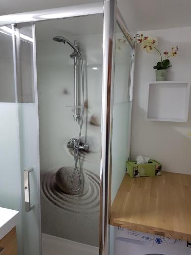 La salle de bains est pourvue d'une douche avec un bol en pierre. dans l'établissement Au coeur du vieux Tours avec jardin, à Tours