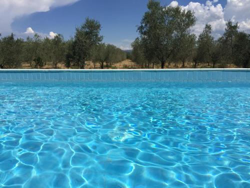 a pool of blue water with trees in the background at Il Girasole Terzuolo in Manciano