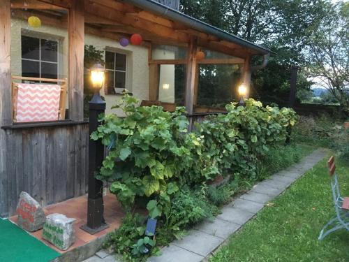 a house with a bunch of plants in front of it at Pension Elbkiosk in Kleinzadel